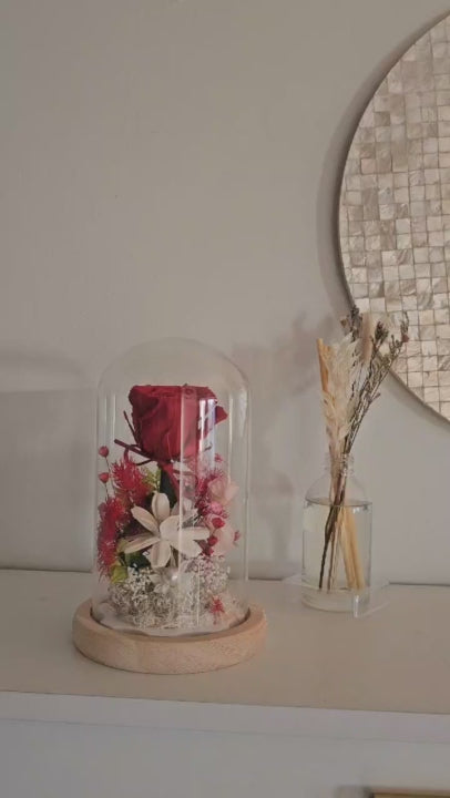 Beautiful Red Dome LED Night